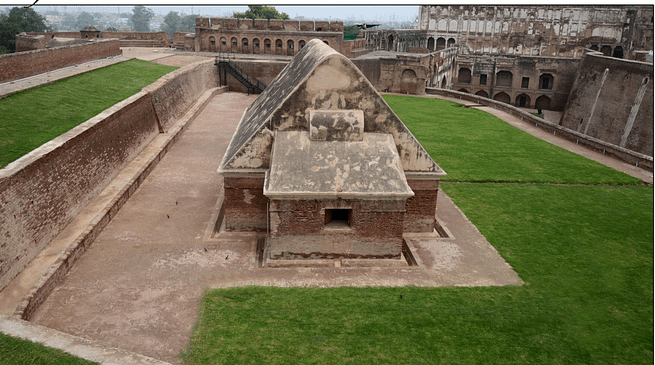 file_2025-07-08_07.52.01